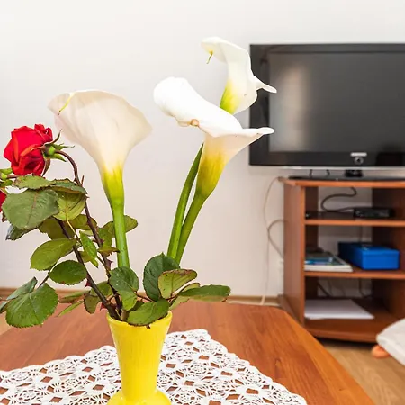 1 Bedroom Stunning In Okrug Gornji