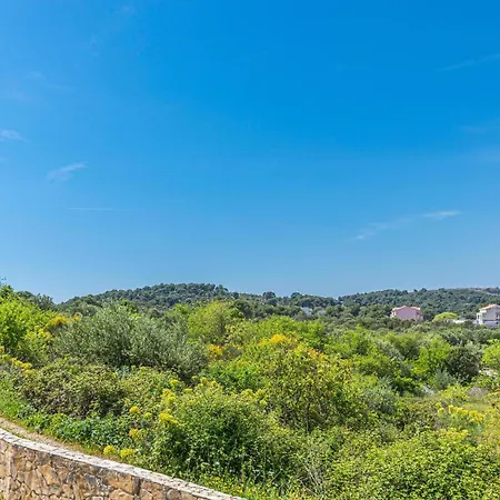 1 Bedroom Stunning In Okrug Gornji